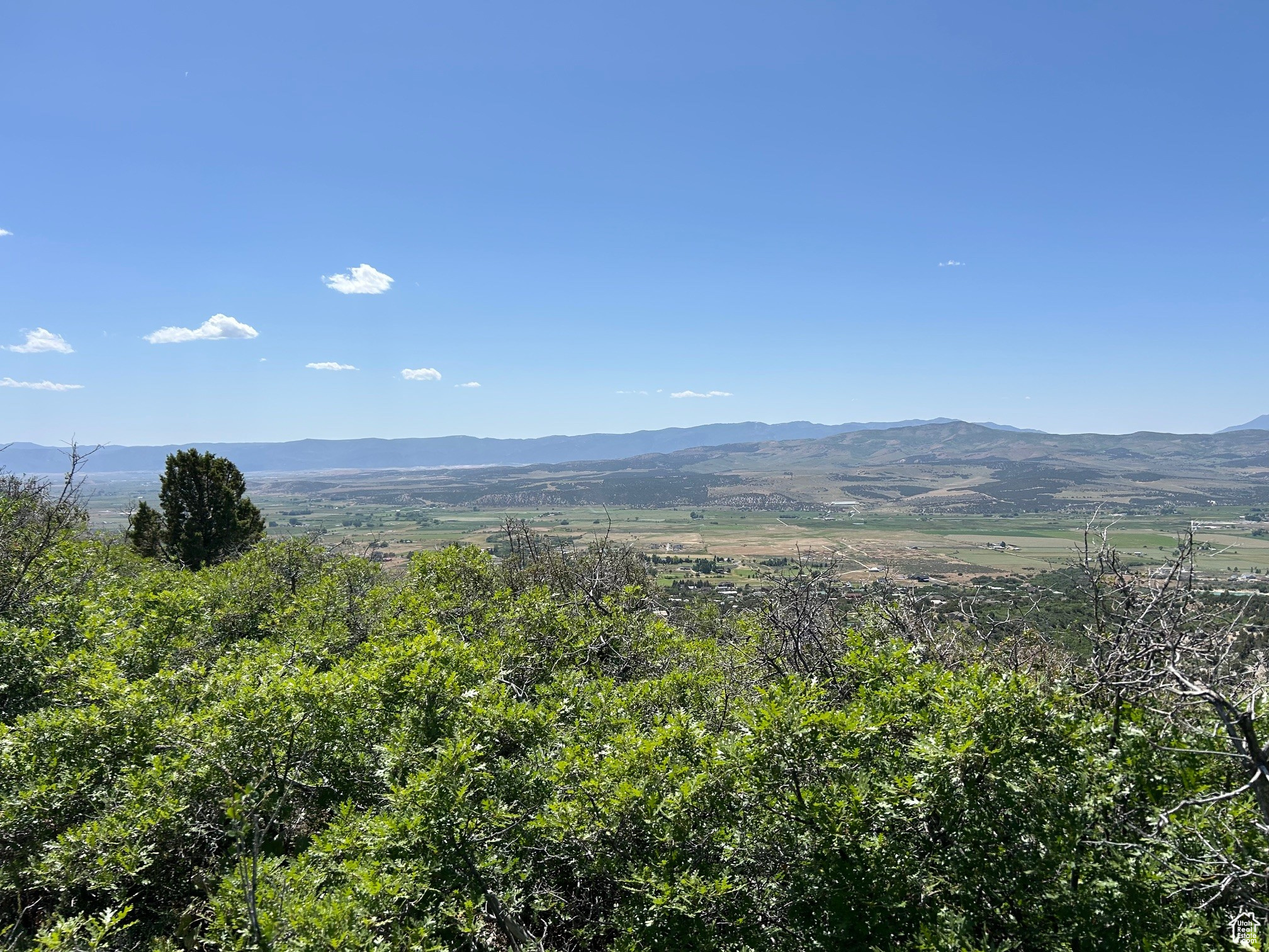 THE HOLLOWS AT LEGACY MOUNTAIN - Land
