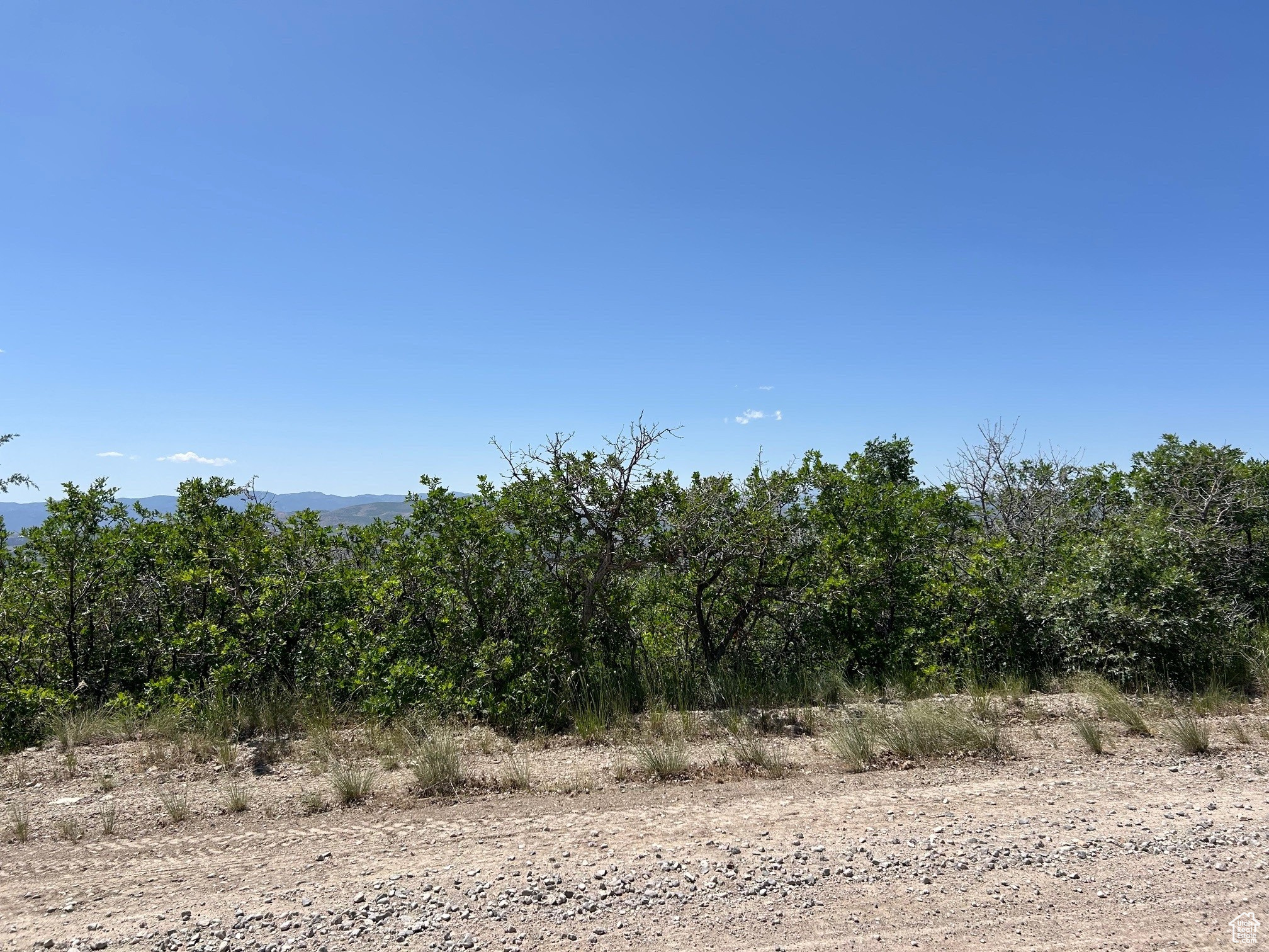 THE HOLLOWS AT LEGACY MOUNTAIN - Land