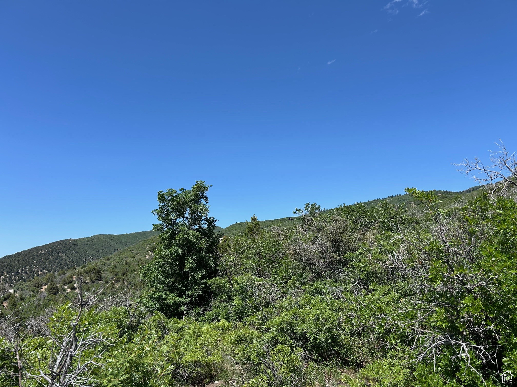 THE HOLLOWS AT LEGACY MOUNTAIN - Land