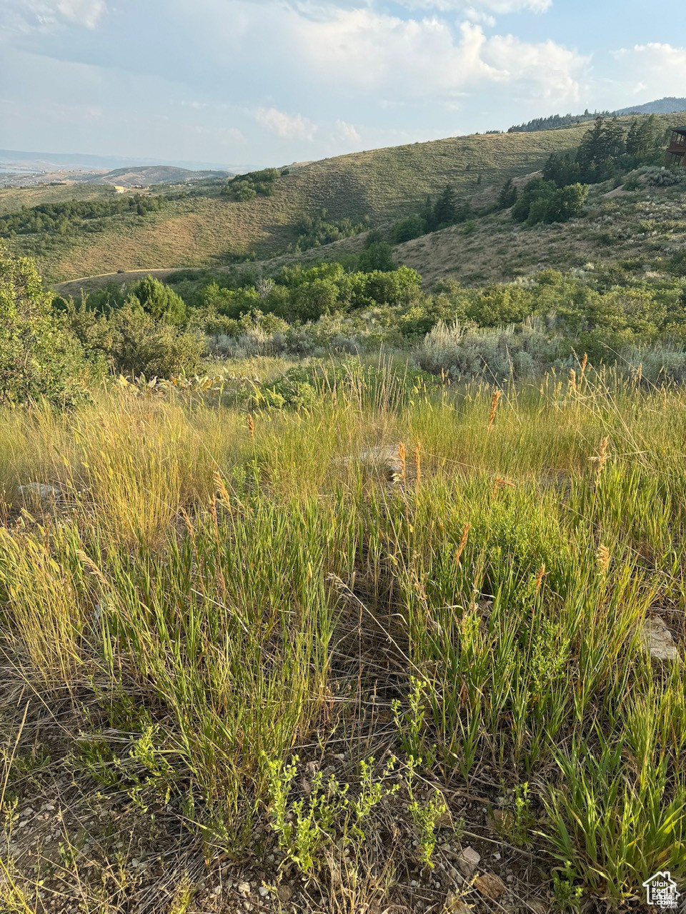 267 Juniper Dr, Fish Haven, Idaho image 5