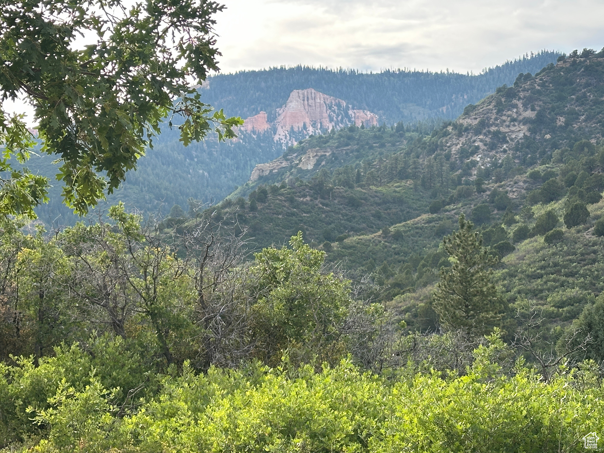 DEER SPRINGS RANCH PLAT C - Land