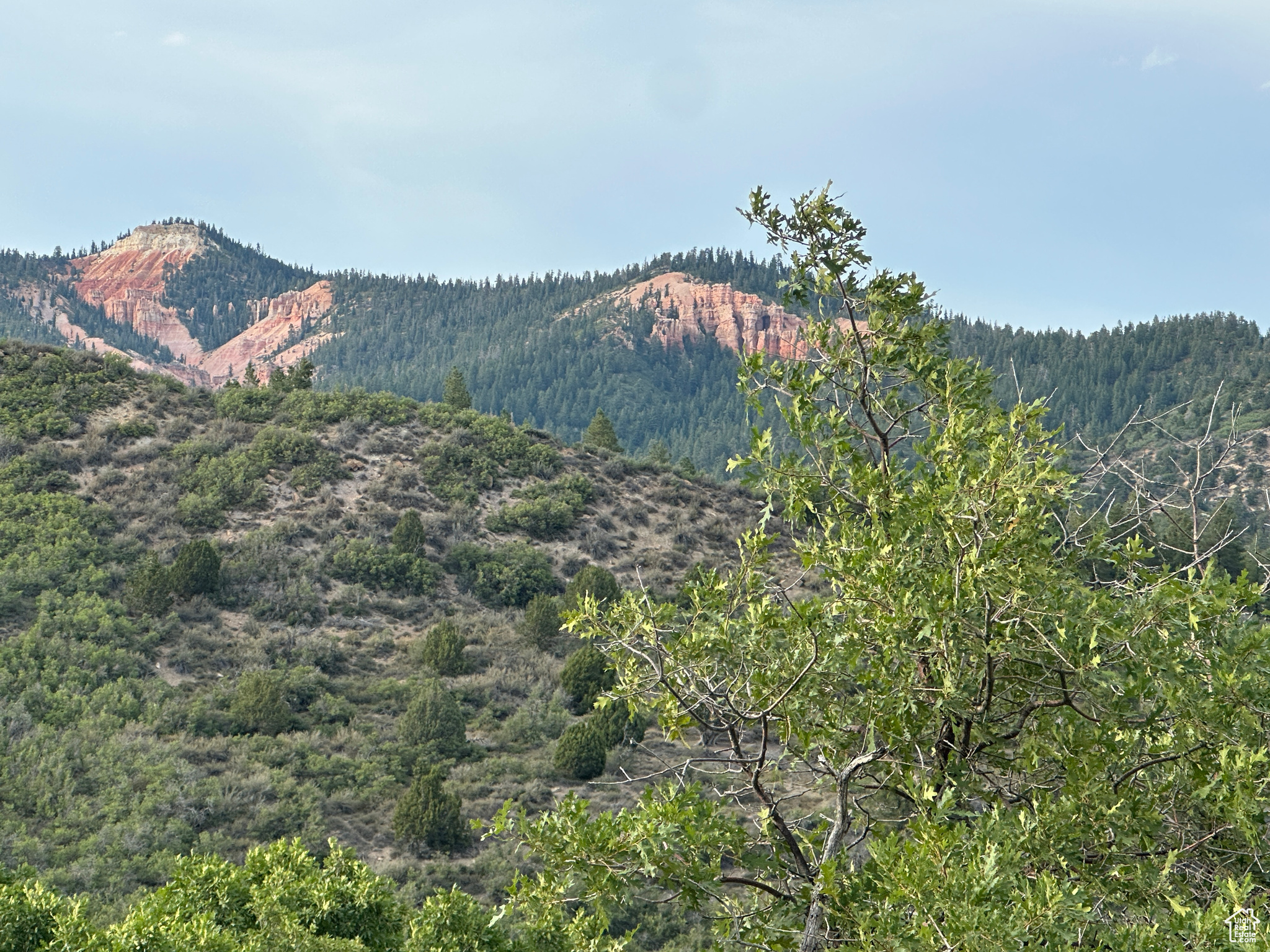DEER SPRINGS RANCH PLAT C - Land