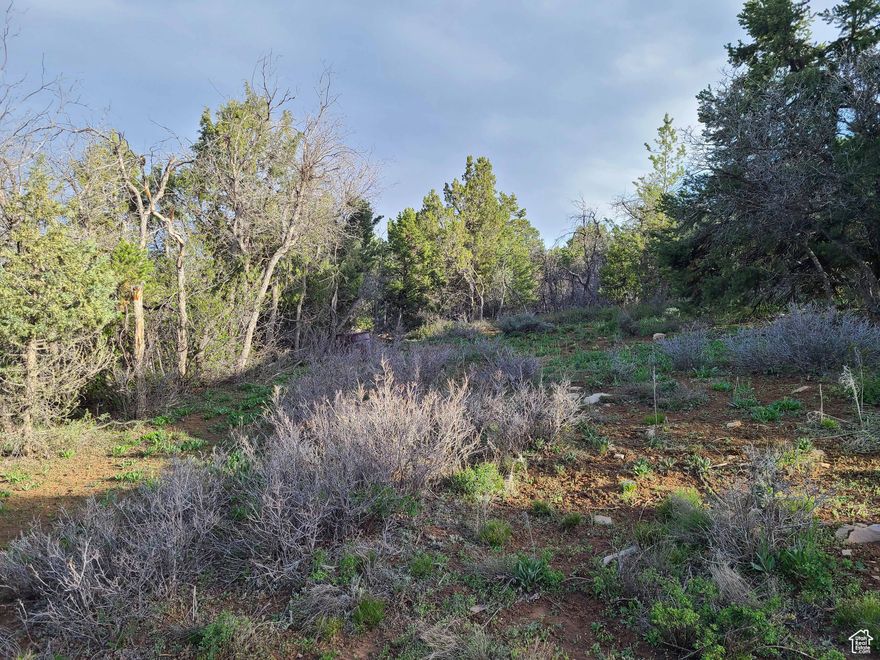 10.0 acres in Panorama Woods Subdivision. Property is being sold as is with trailer and other items going with the property. All of this property is useable. Good road access to property with seasonal access. Note that this property is not in a HOA.  Panorama Woods has voluntary (not mandatory) dues of $150 per year.  This fee is used to maintain the  roads and springs. There are 2 springs in the area for water.