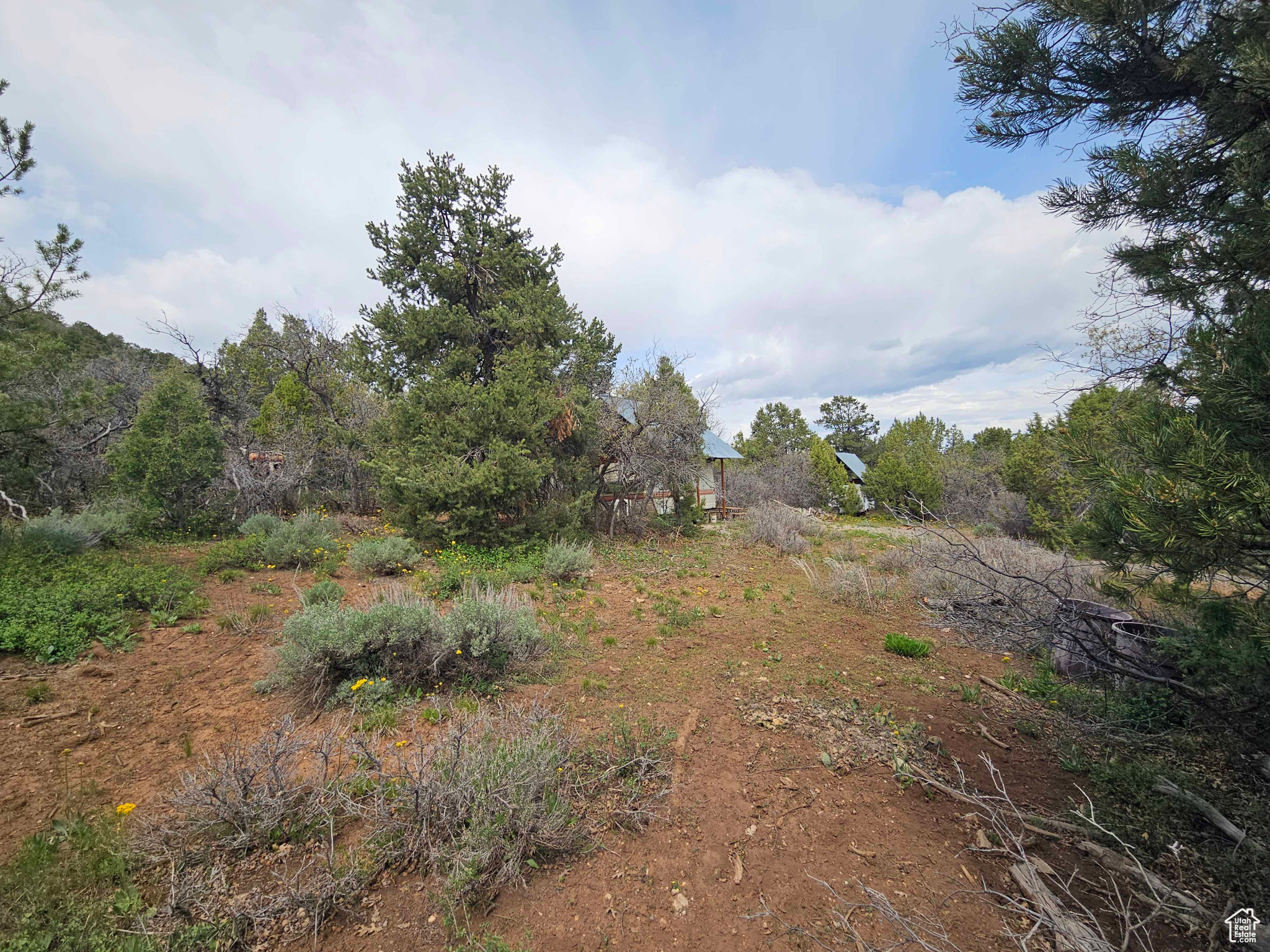 PANORAMA WOODS - Land