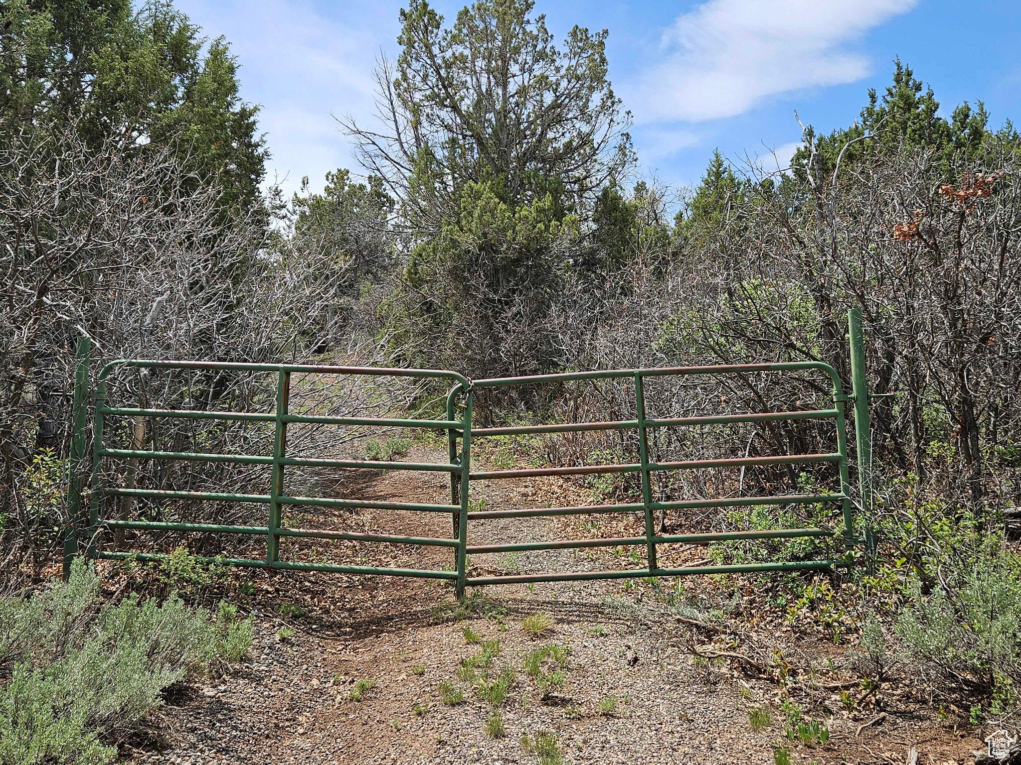 PANORAMA WOODS - Land