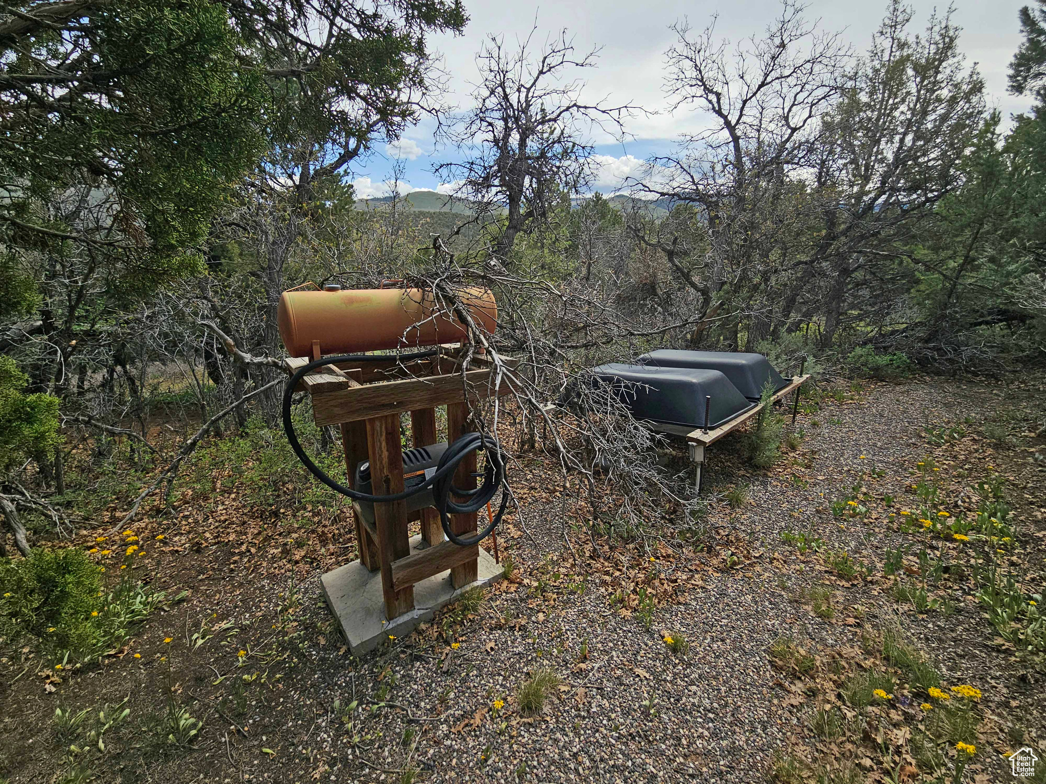 PANORAMA WOODS - Land