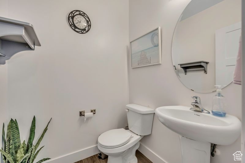 MUIRHOUSE - Residential