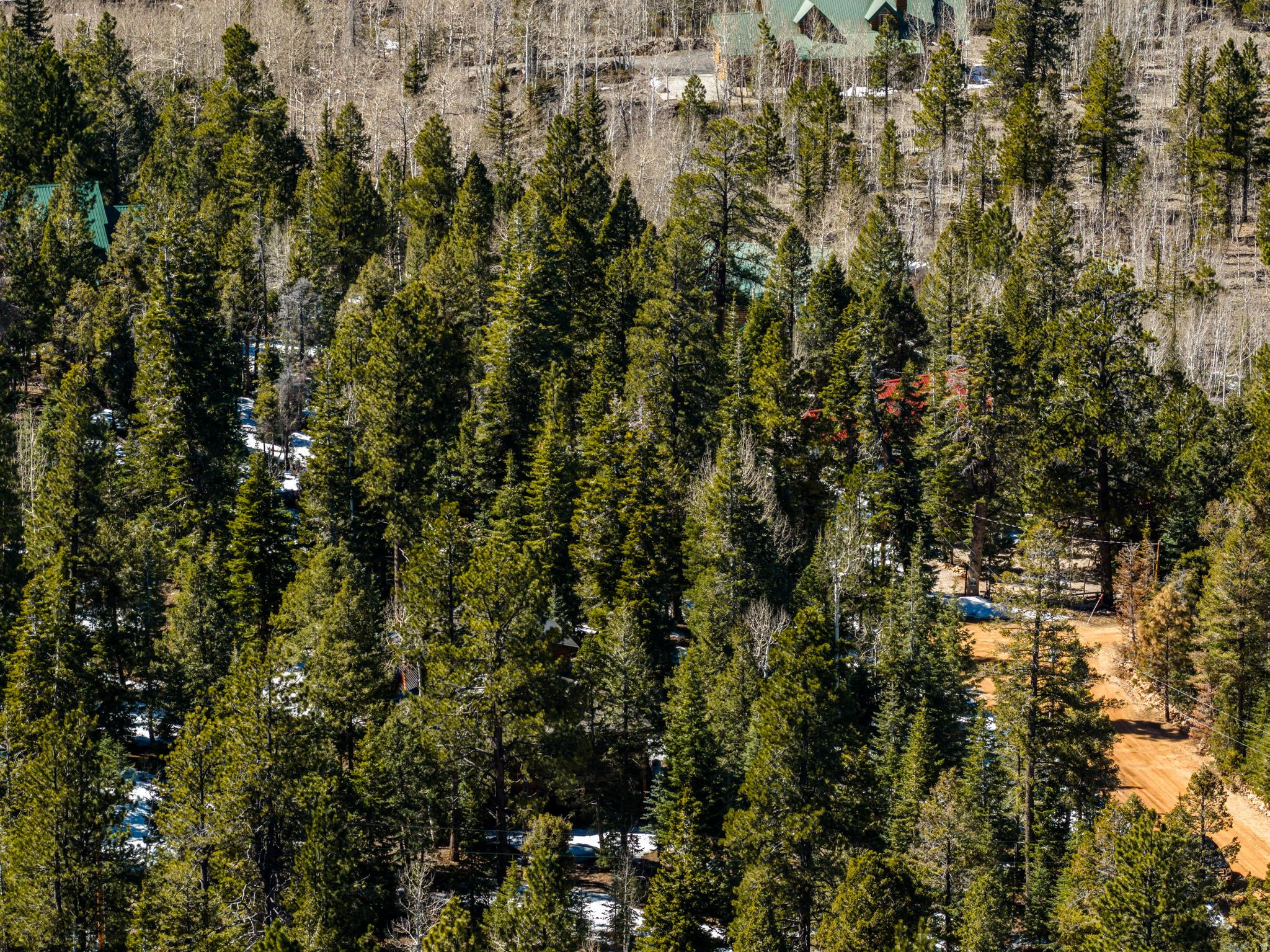 MIRROR LAKE SUBDIVISION - Land