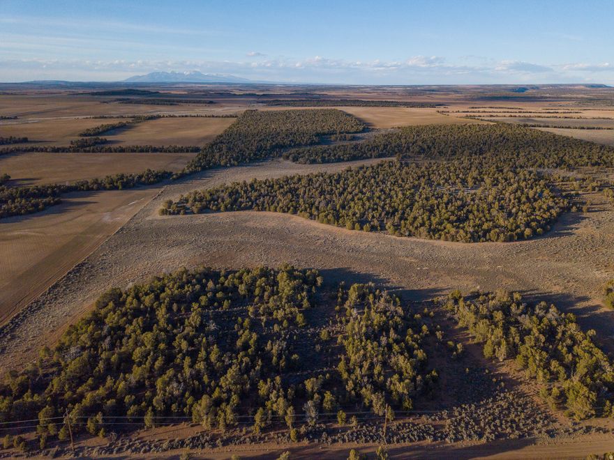 80 acres for sale on OLD HIGHWAY road located just east of Monticello, Utah with beautiful views of the La Sal and Blue Mountains. The property has the perfect mix of open field and treed areas providing the perfect cover and privacy for your cabin. There is currently no well on the property, but power is in the street and connection fees apply. The property has a greenbelt tax designation keeping taxes very low. The town of Monticello is 11 miles away and offers all the small-town amenities as well as a municipal airport. The entrance to Canyonlands National Park is about 30 minutes away and Moab is about an hour drive as well as Arches National Park. No official address. Listing address is an approximation only.