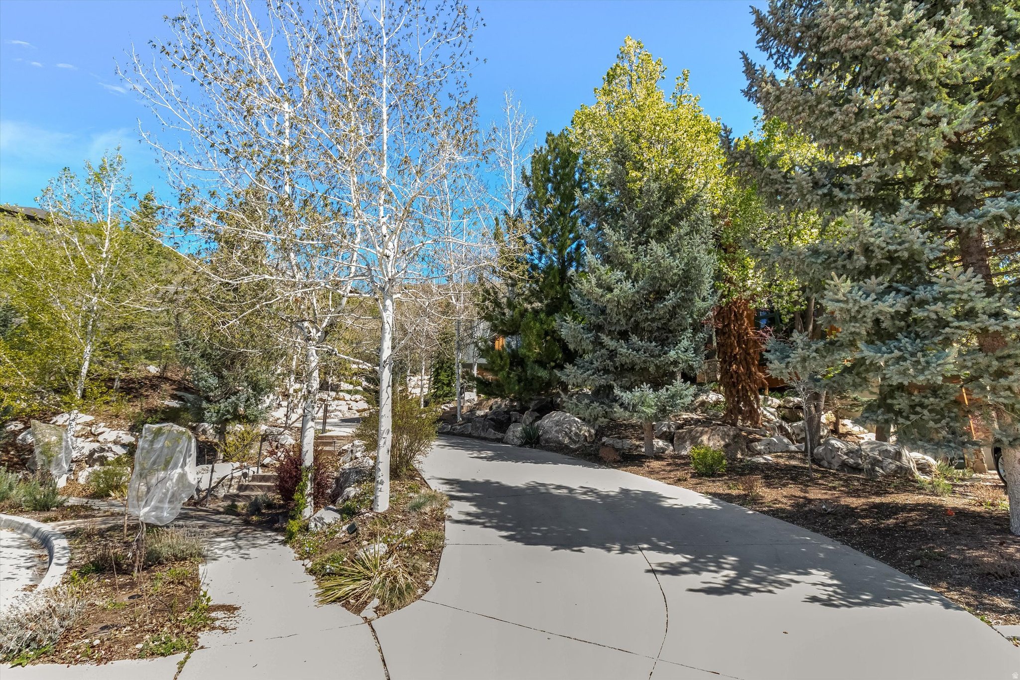 EAGLEWOOD COVE - Residential