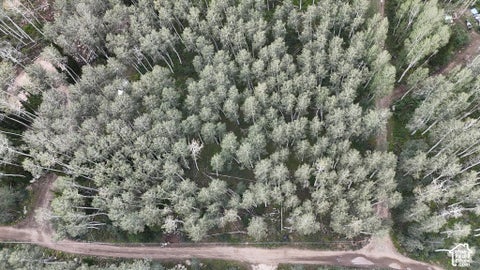 Vacant Land For Sale - 5057 N Larkspur Rd #115/16<br/> Midway, UT 84049