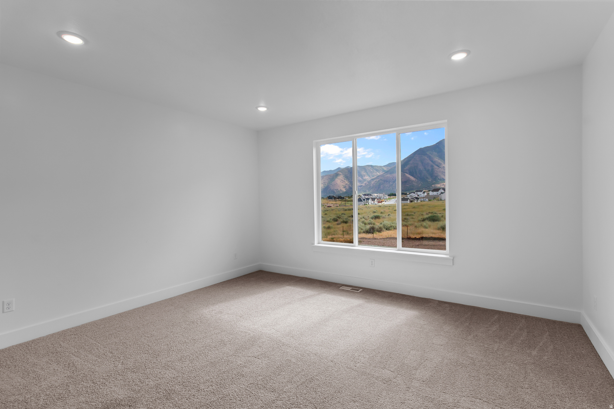 MEADOWS AT HYDE PARK - Residential