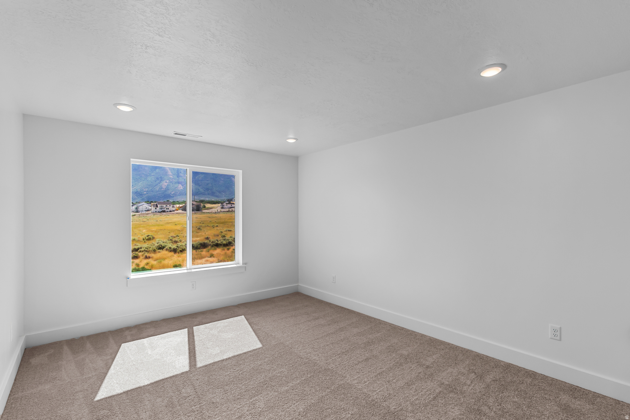 MEADOWS AT HYDE PARK - Residential
