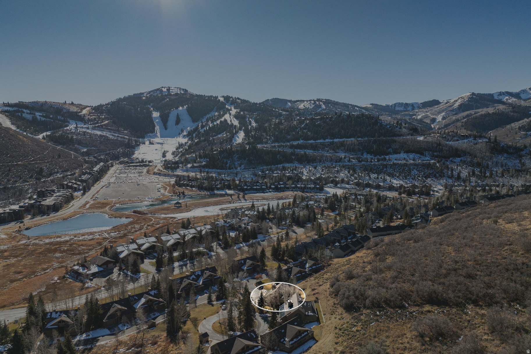 AMBER DAYSTAR - Residential