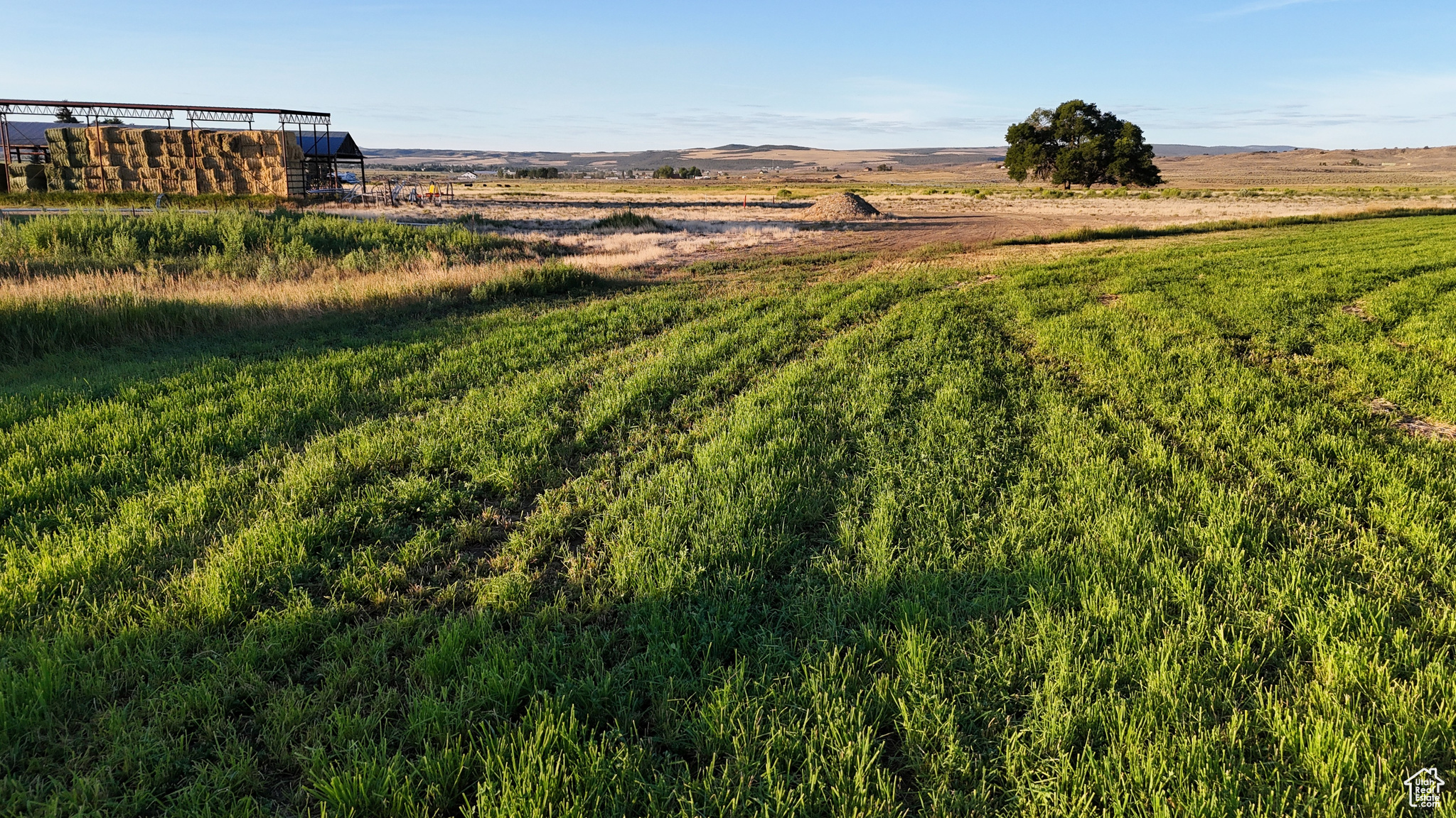 THREE MILE CREEK - Land
