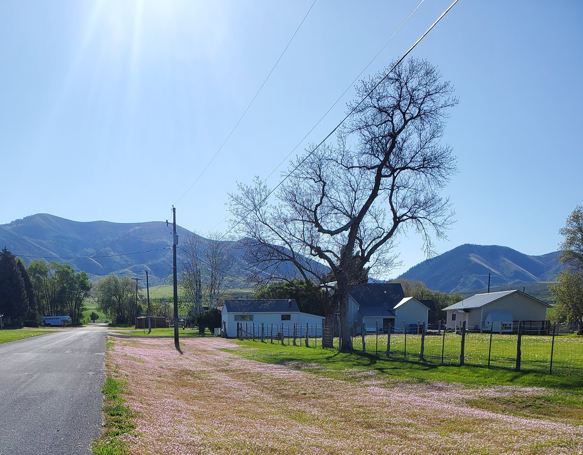 PARADISE CITY SURVEY - Residential