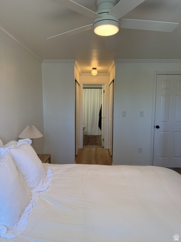 TOWNPARK - Residential