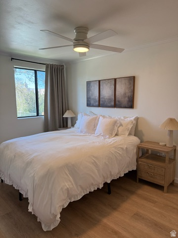 TOWNPARK - Residential