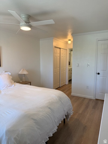 TOWNPARK - Residential