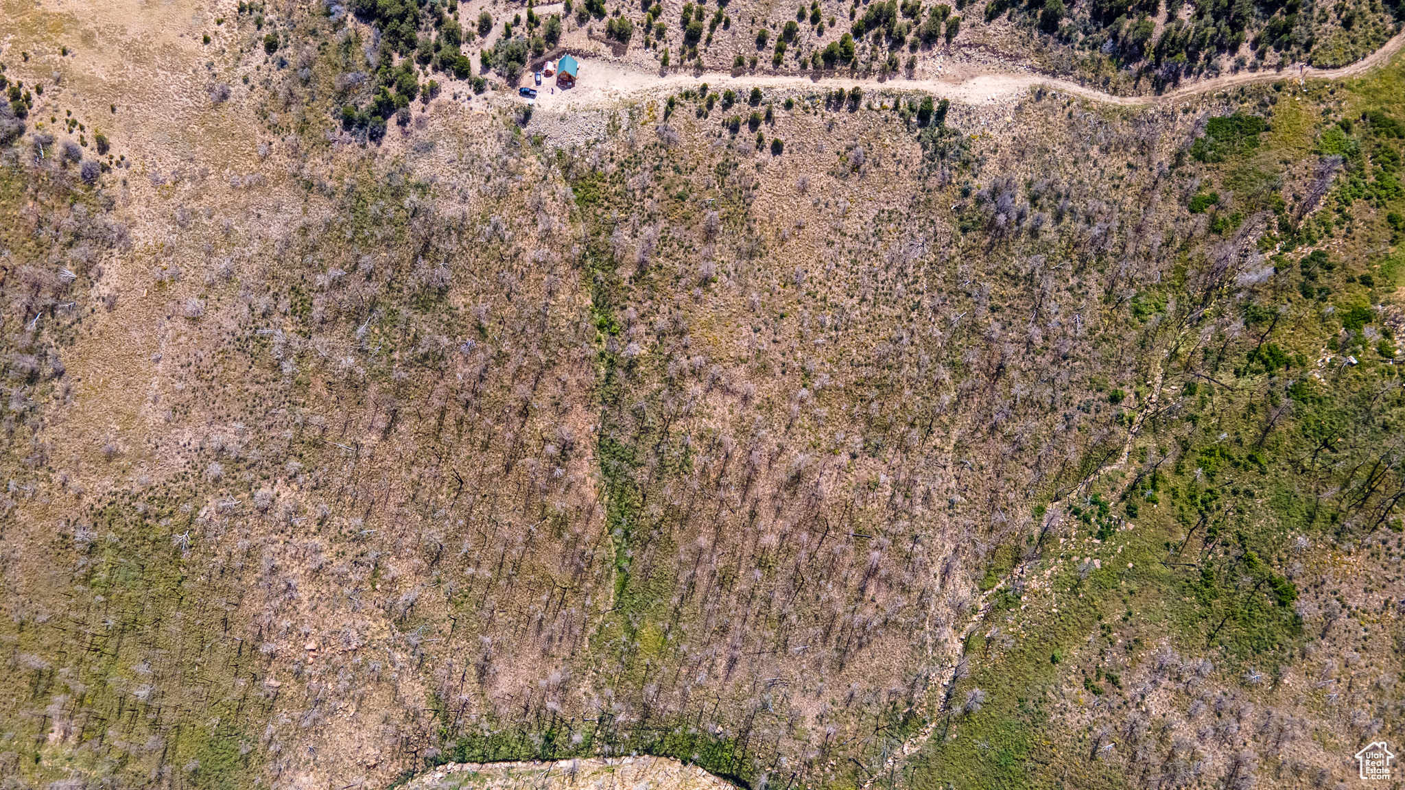 STRAWBERRY PROPERTIES - Land