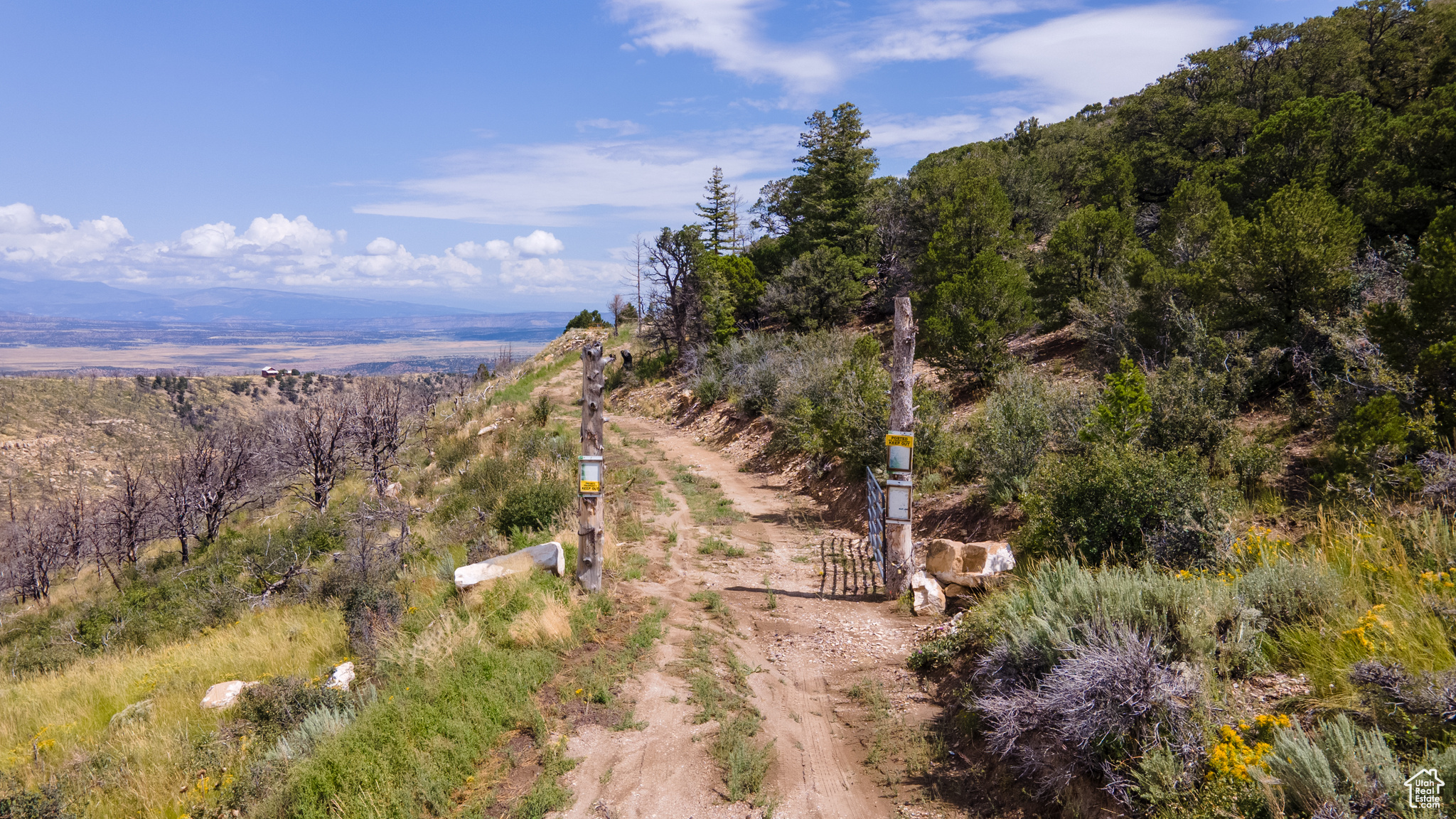 STRAWBERRY PROPERTIES - Land