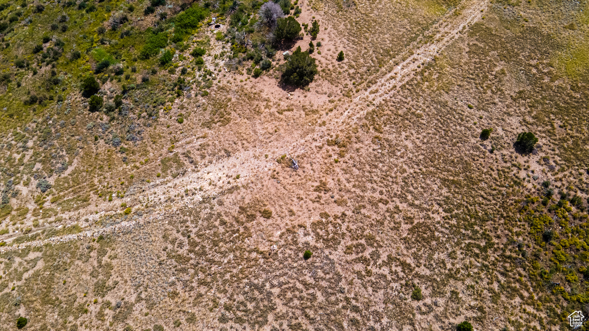 STRAWBERRY PROPERTIES - Land