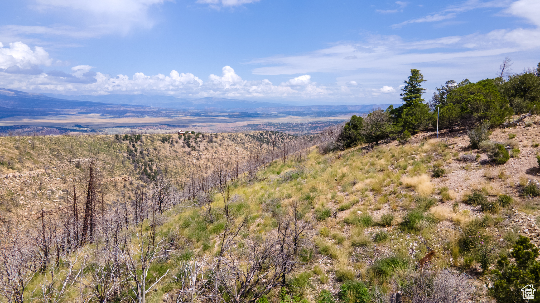 STRAWBERRY PROPERTIES - Land