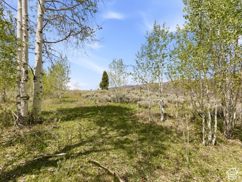 Tiny photo for 23133 E ALTA DR #12, Spanish Fork, UT 84660 (MLS # 2160605)