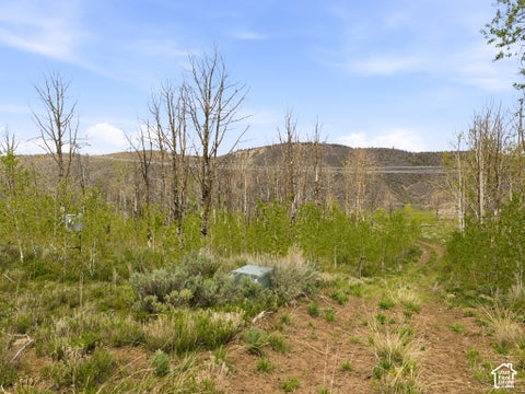 Tiny photo for 23133 E ALTA DR #12, Spanish Fork, UT 84660 (MLS # 2160605)