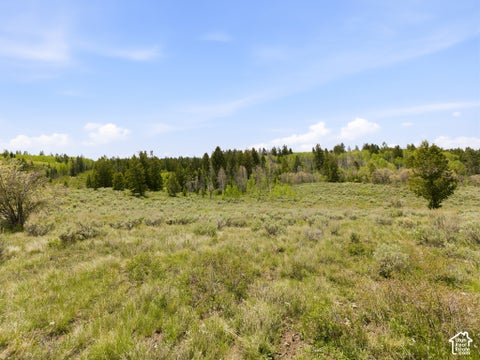Tiny photo for 23133 E ALTA DR #12, Spanish Fork, UT 84660 (MLS # 2160605)