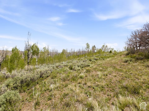 Tiny photo for 23133 E ALTA DR #12, Spanish Fork, UT 84660 (MLS # 2160605)