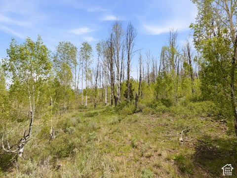 Tiny photo for 23133 E ALTA DR #12, Spanish Fork, UT 84660 (MLS # 2160605)