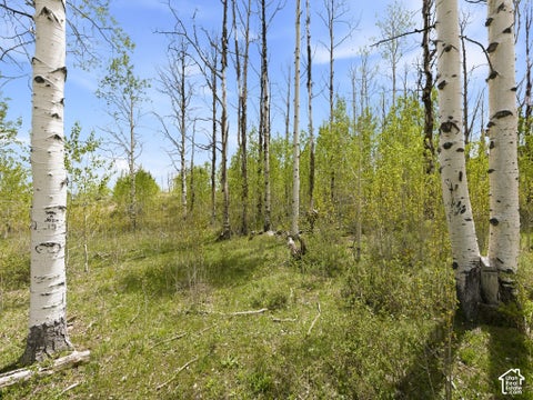 Tiny photo for 23133 E ALTA DR #12, Spanish Fork, UT 84660 (MLS # 2160605)