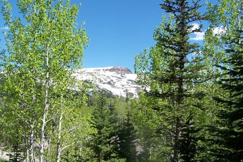 Tiny photo for 199 HUNTER RIDGE DR W, Brian Head, UT 84719 (MLS # 2154613)