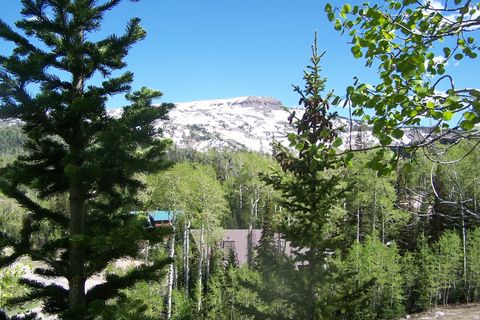 Tiny photo for 199 HUNTER RIDGE DR W, Brian Head, UT 84719 (MLS # 2154613)