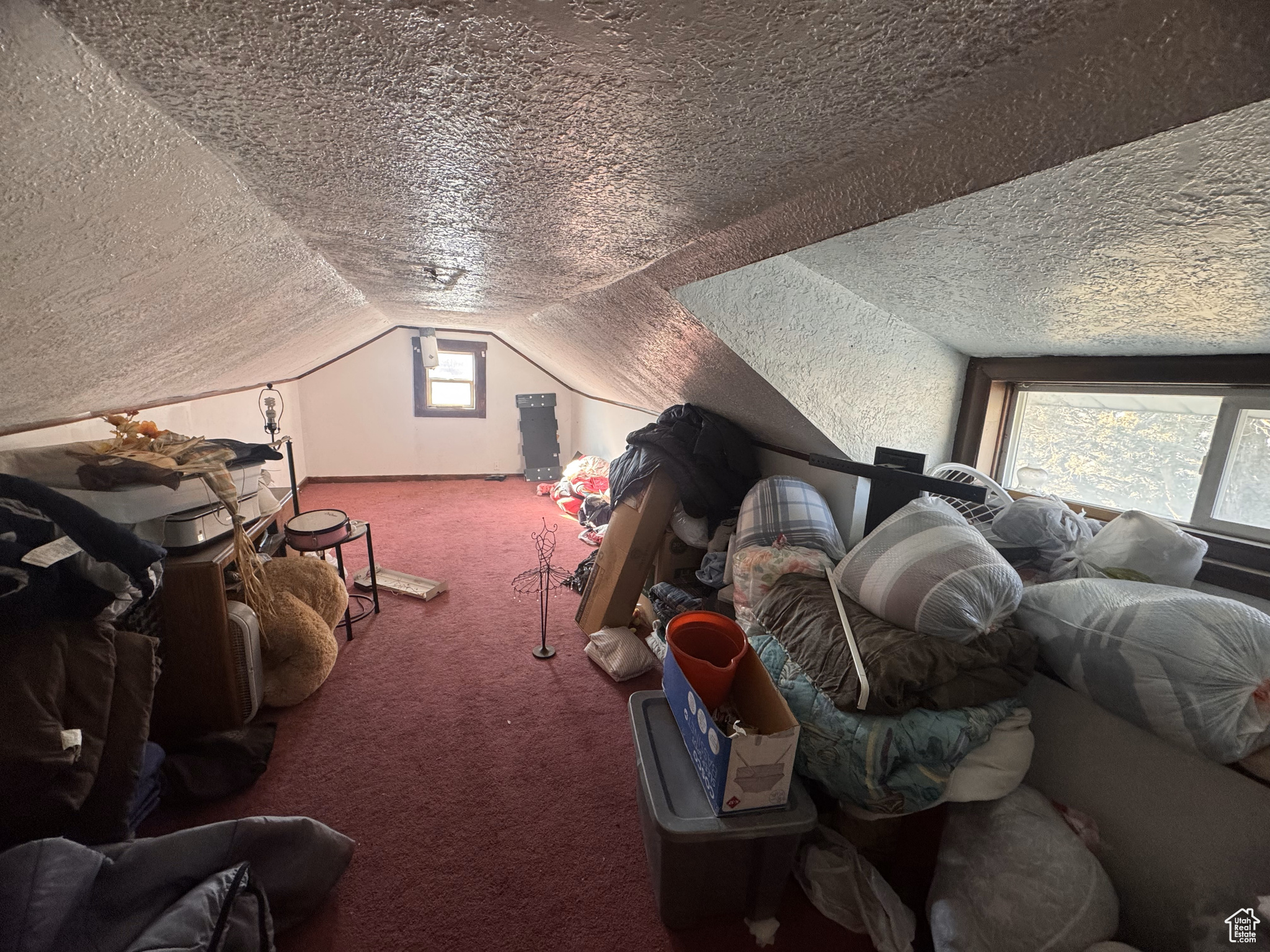 LEONEL BARRIGA MINI SUBDIVISION - Commercial Sale