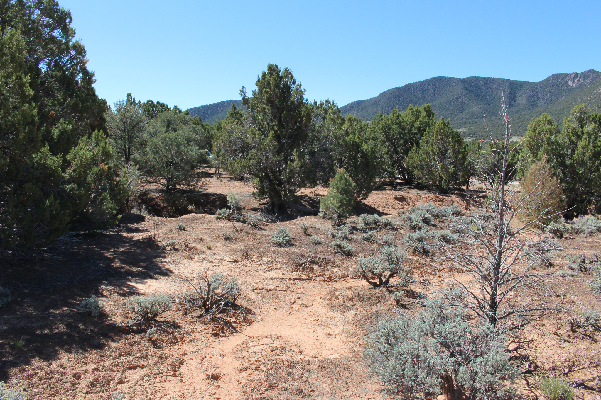 OLD IRONTOWN - Land