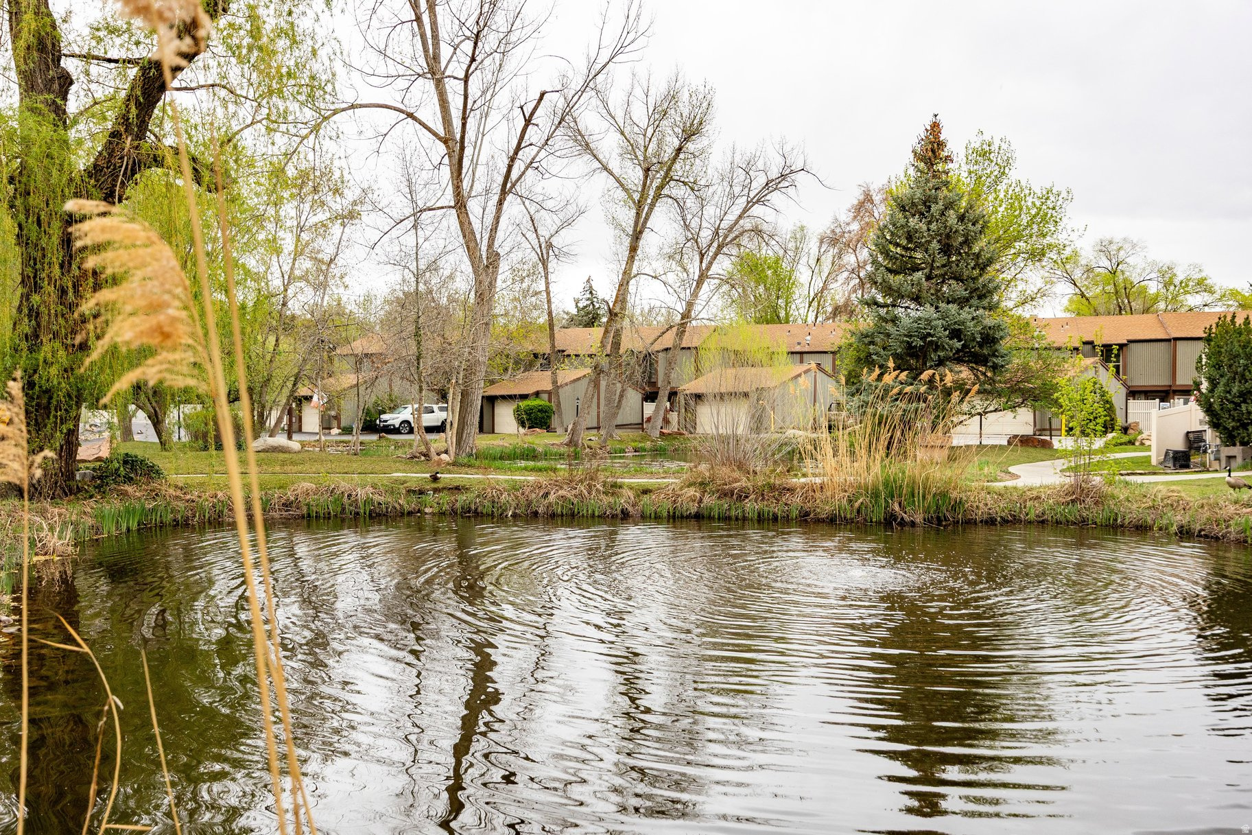 THE WILLOWS - Residential