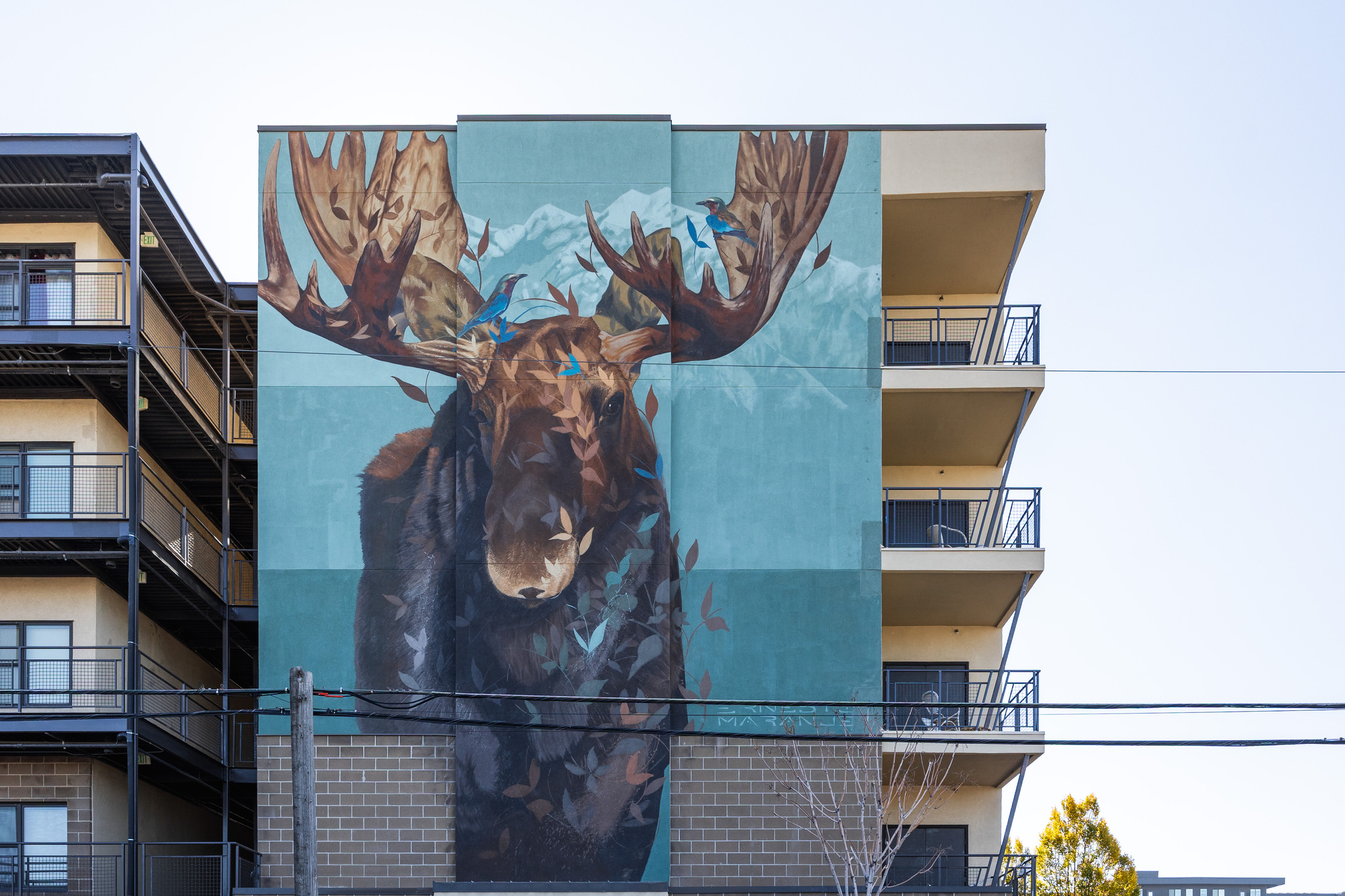 CENTRAL POINTE - Residential