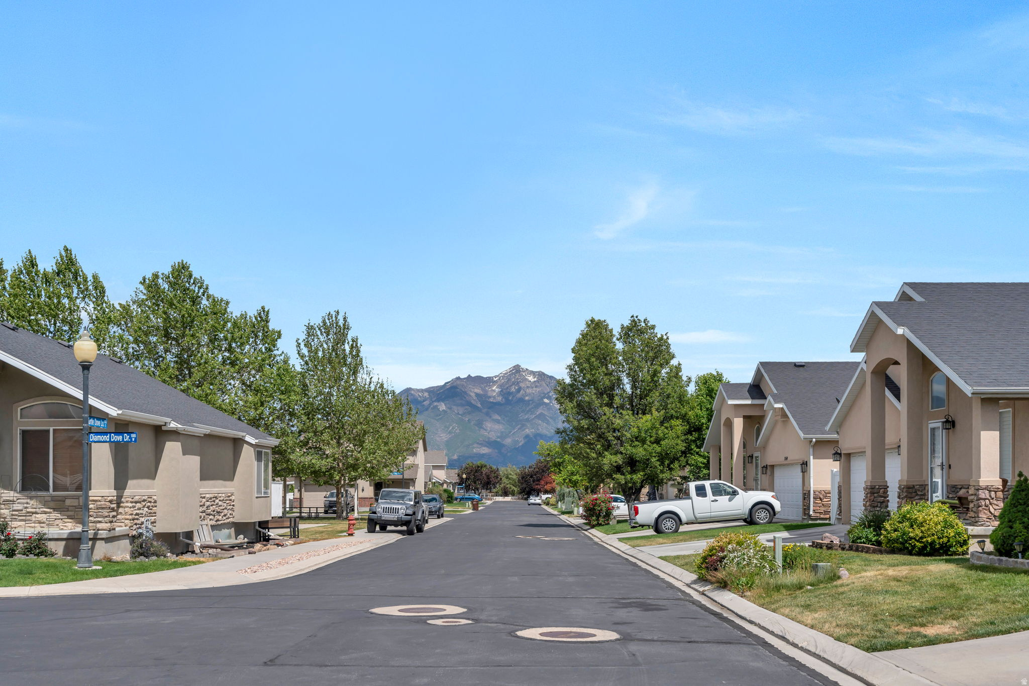 DOVE MEADOWS - Residential