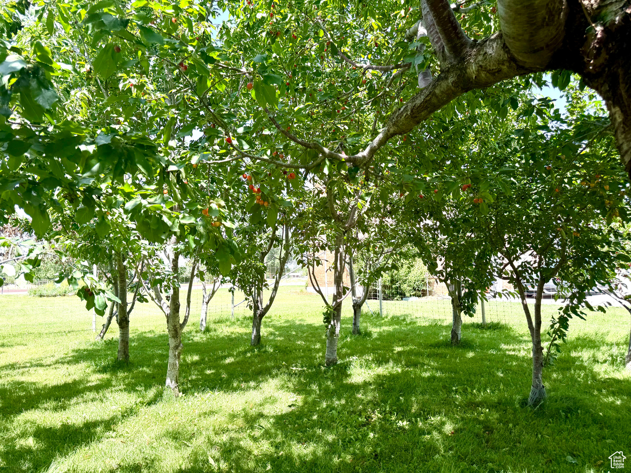 DIVIDABLE - Residential