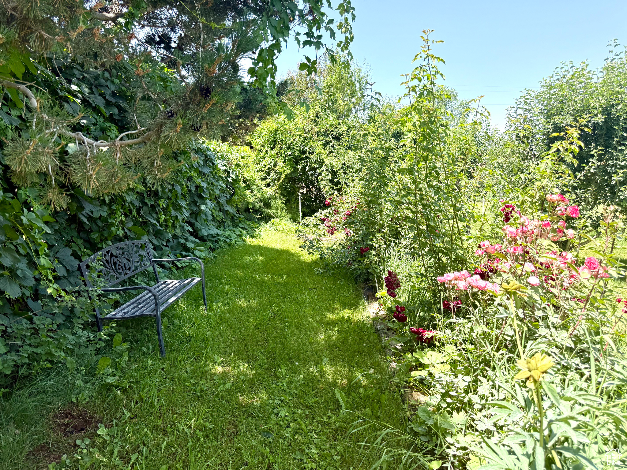 DIVIDABLE - Residential