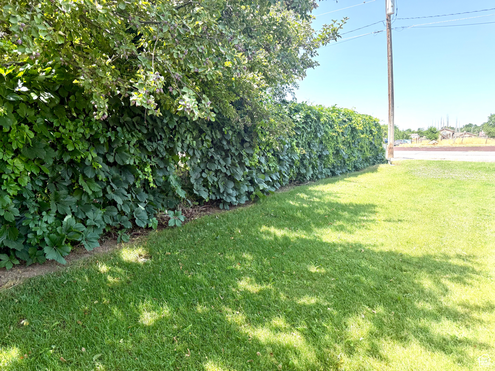 DIVIDABLE - Residential