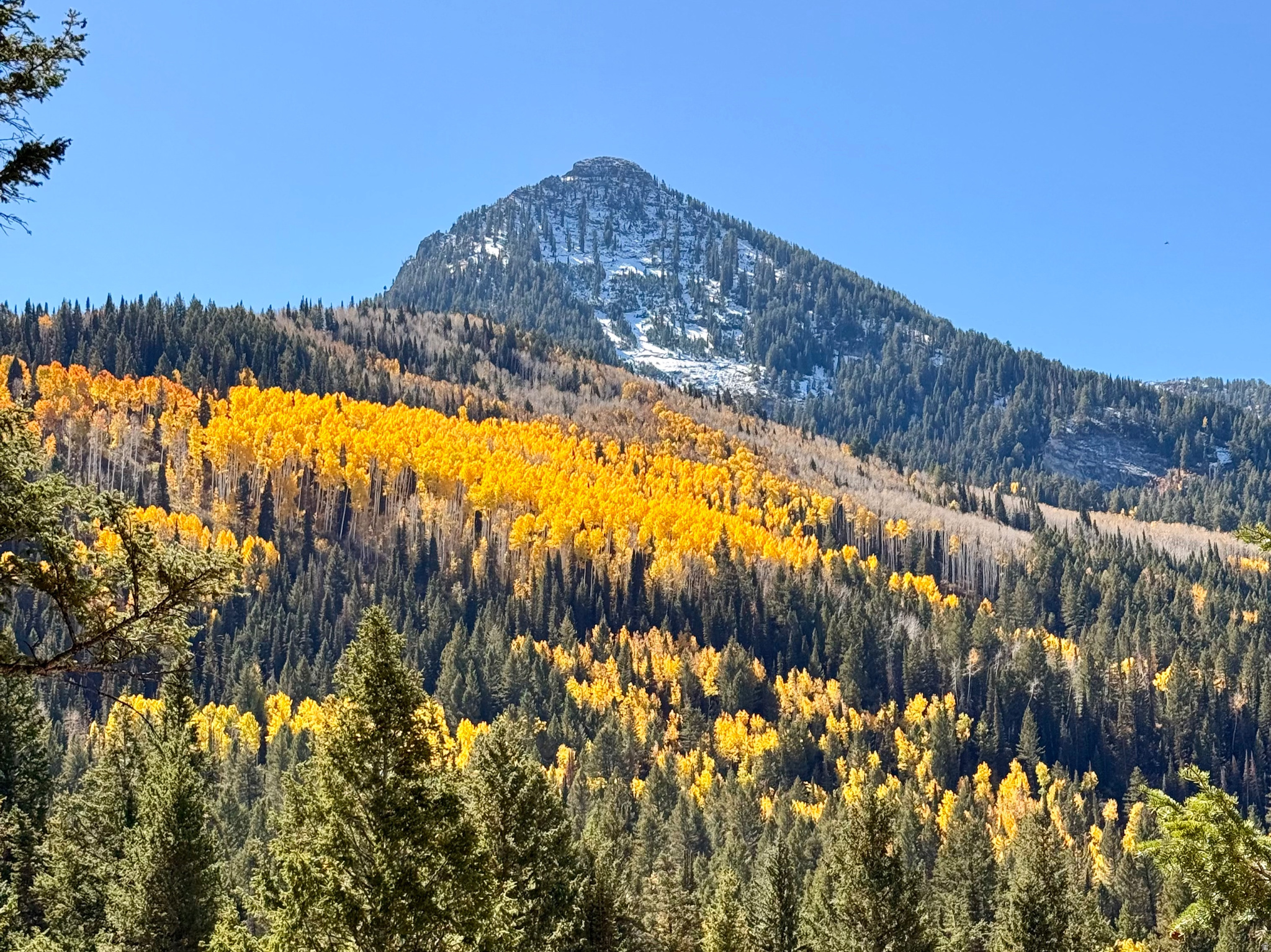 BIG COTTONWOOD CANYON - Residential