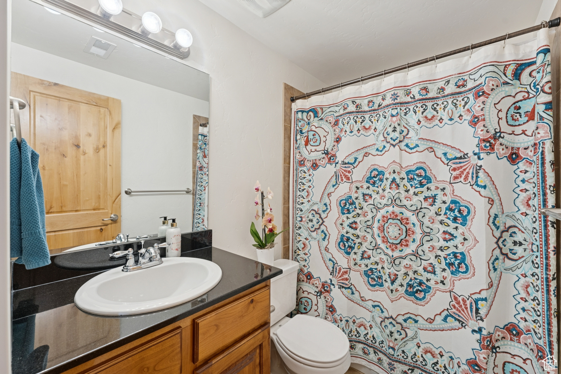 BEAR HOLLOW VILLAGE SUBDIVISION - Residential