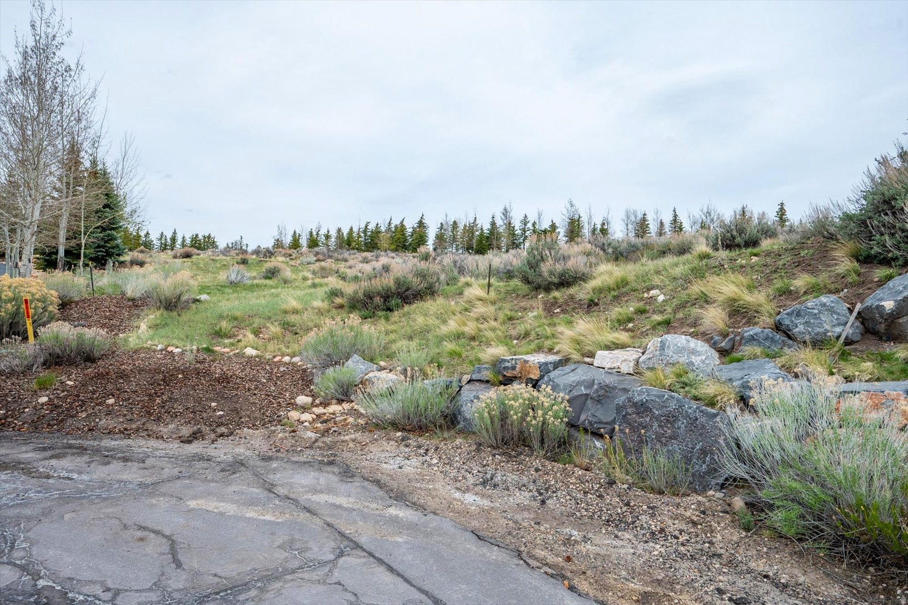 DEER CROSSING SUBDIVISION - Land