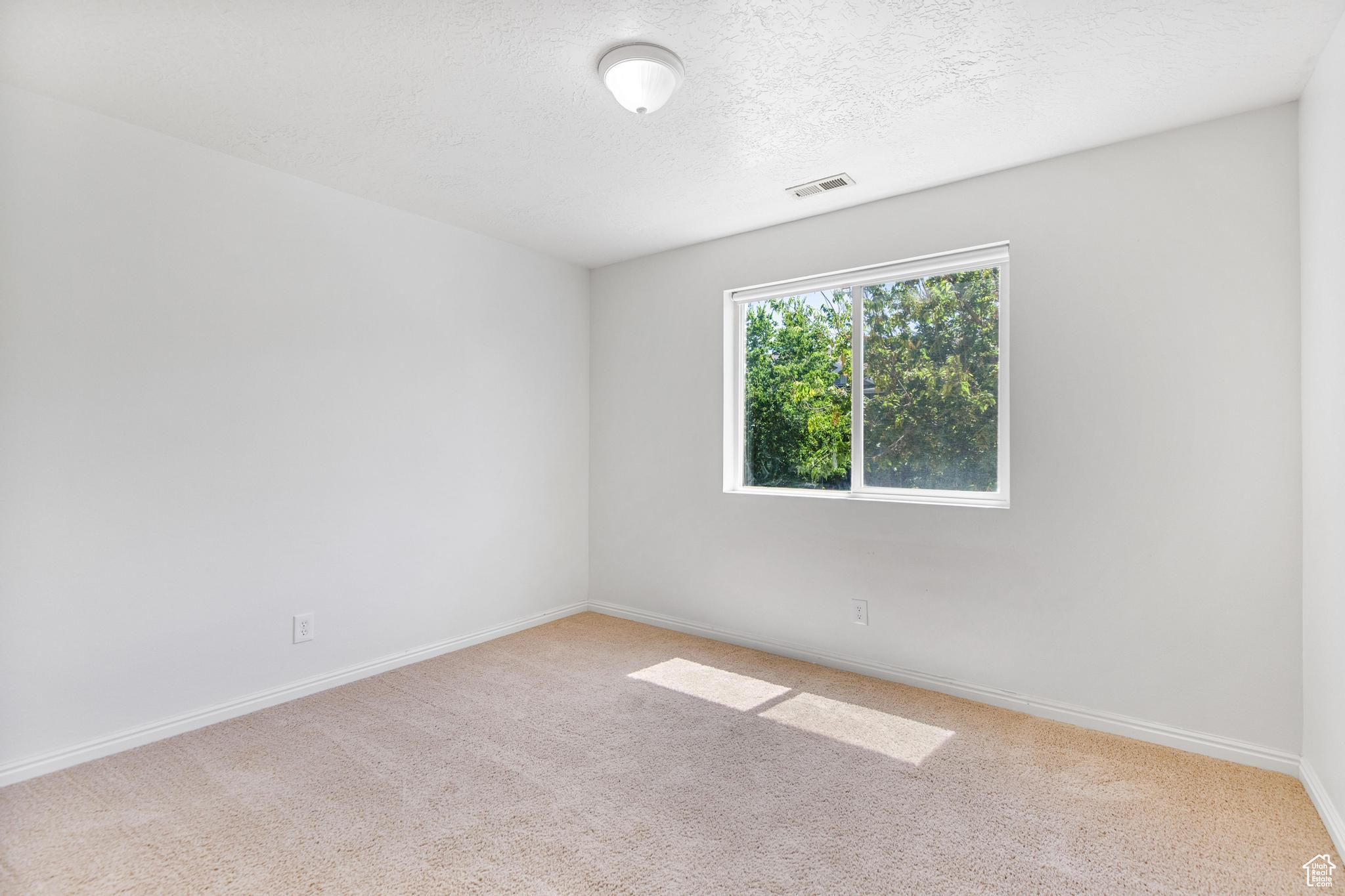 WILLOW SPRINGS - Residential