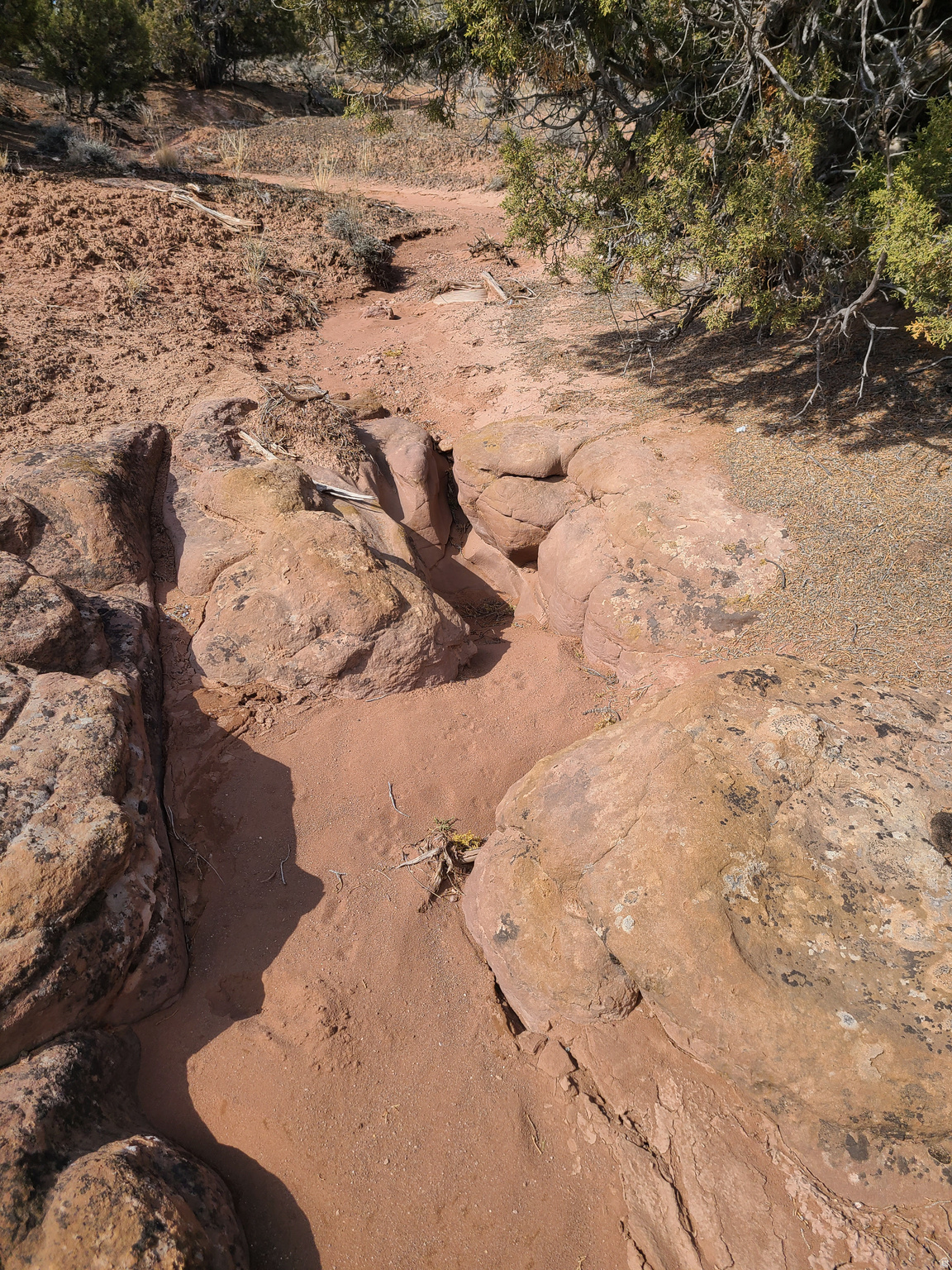 SUNDANCE WEST - Land