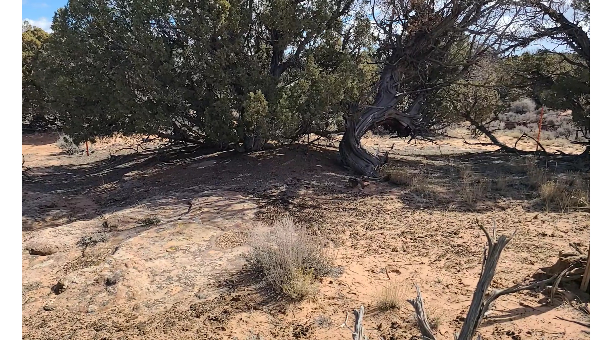 SUNDANCE WEST - Land