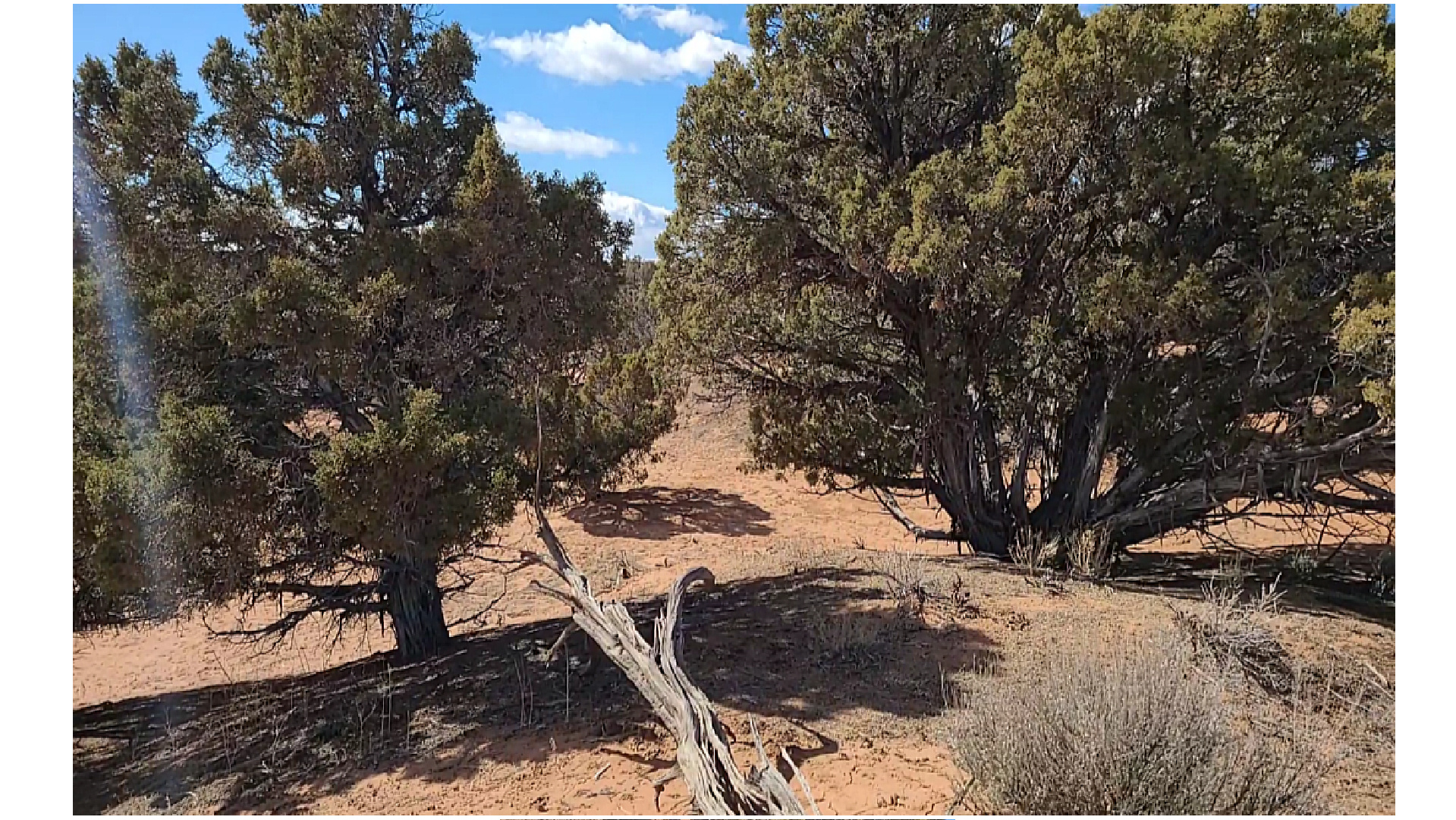 SUNDANCE WEST - Land